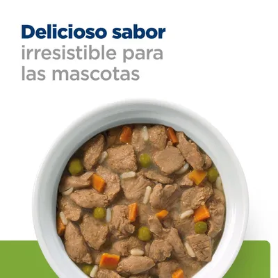 Texto: Delicioso sabor irresistible para las mascotas. Plato blanco con comida húmeda, trozos de carne, zanahoria y guisantes visibles.