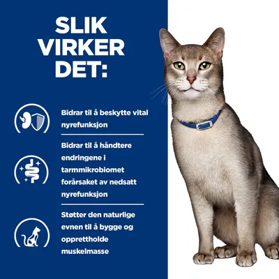 Hill's Prescription Diet Feline k/d Kidney Care