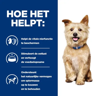 Hoe het helpt: beschermt vitale nierfunctie, stimuleert eetlust en voedselopname, ondersteunt natuurlijk vermogen om spiermassa op te bouwen en te behouden. Tekst in beeld.