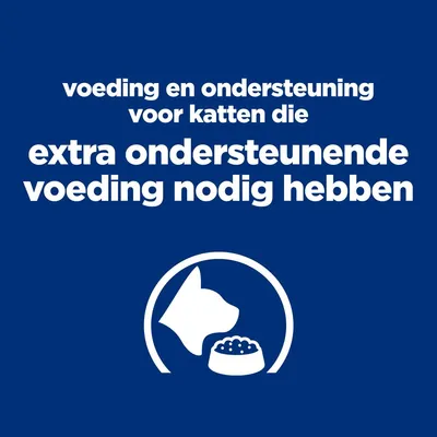 voeding en ondersteuning voor katten die extra ondersteunende voeding nodig hebben