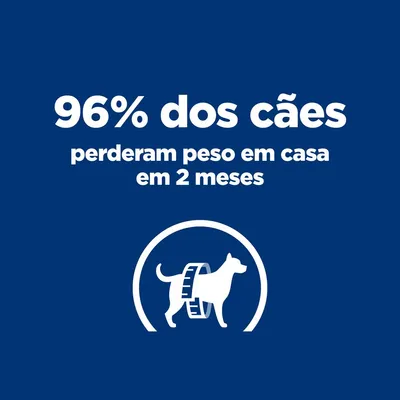 96% dos cães perderam peso em casa em 2 meses 96% dos cães perderam peso em casa em 2 meses