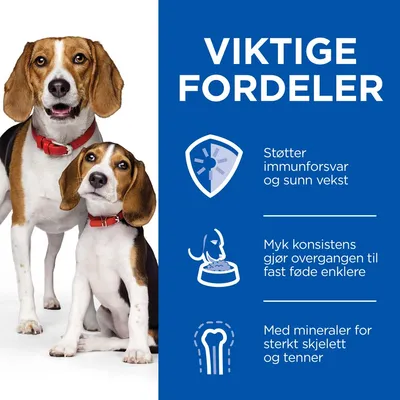 Hill's Science Plan  Puppy & Mother Tender Mousse