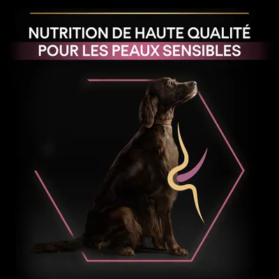 NUTRITION DE HAUTE QUALITÉ POUR LES PEAUX SENSIBLES