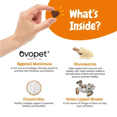 Ingredients and benefits: eggshell membrane for joint flexibility, glucosamine for joint structure, chondroitin for cartilage support, green lipped mussel for Omega-3 to ease stiff joints.