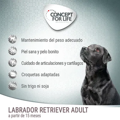 Concept for Life. Mantenimiento del peso adecuado, piel sana y pelo bonito, cuidado de articulaciones y cartílagos, croquetas adaptadas, sin trigo ni soja. Labrador Retriever Adult a partir de 15 meses.