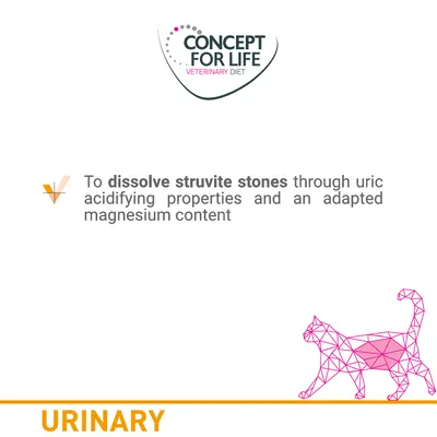 CONCEPT FOR LIFE VETERINARY DIET. To dissolve struvite stones through uric acidifying properties and an adapted magnesium content. URINARY. Tekst na engleskom jeziku.