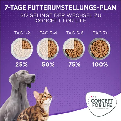 Plan de transition alimentaire sur 7 jours pour Concept for Life : jour 1–2 25 %, jour 3–4 50 %, jour 5–6 75 %, jour 7+ 100 %. Texte en allemand. Logo Concept for Life visible.