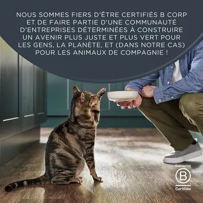 Lot mixte Encore en sauce 5 x 50 g sachets pour chat