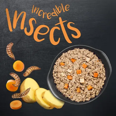 Comida en bol negro con trozos naranjas y beige, acompañada de rodajas de patata, gusanos y zanahoria. Texto visible: Incredible Insects.