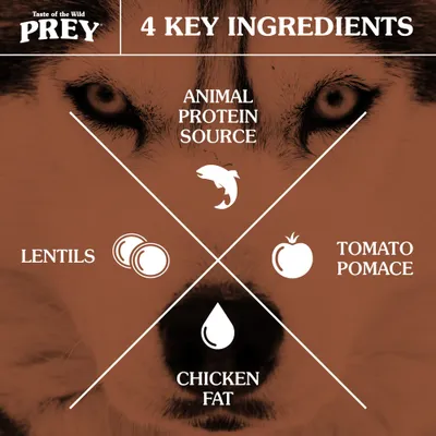 Taste of the Wild PREY, 4 KEY INGREDIENTS: ANIMAL PROTEIN SOURCE, LENTILS, TOMATO POMACE, CHICKEN FAT. Teksti englanniksi.