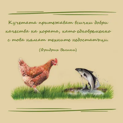 Кучетата притежават всички добри качества на хората, като едновременно с това нямат техните недостатъци. (Фридрих Велики)