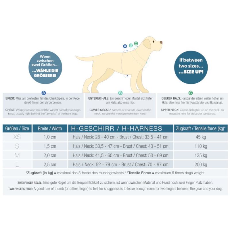 Arnés Max & Molly Cherry Bloom para perros