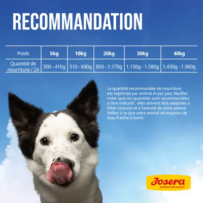Tableau de recommandations Josera : quantité de nourriture par jour selon le poids du chien, de 5 kg (300–410 g) à 40 kg (1.430–1.960 g). Texte explicatif et logo Josera visibles.
