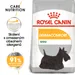 Royal Canin Mini Dermacomfort
