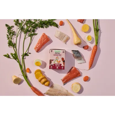 Grain-free pet food packaging surrounded by visible ingredients including salmon, white fish, carrots, potatoes, parsnip, hard-boiled egg and herbs.