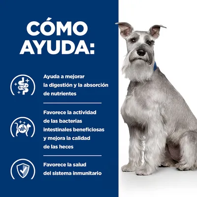 Texto: Cómo ayuda. Ayuda a mejorar la digestión y la absorción de nutrientes. Favorece la actividad de las bacterias intestinales beneficiosas y mejora la calidad de las heces. Favorece la salud del sistema inmunitario.