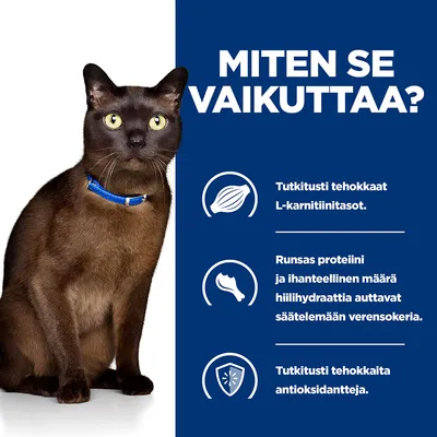 MITEN SE VAIKUTTAA? Tutkitusti tehokkaat L-karnitiinitasot. Runsas proteiini ja ihanteellinen määrä hiilihydraattia auttavat säätelemään verensokeria. Tehokkaita antioksidantteja.
