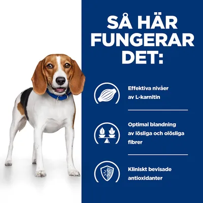 Så här fungerar det: Effektiva nivåer av L-karnitin, optimal blandning av lösliga och olösliga fibrer, kliniskt bevisade antioxidanter.
