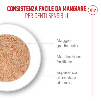 Royal Canin Ageing 15+ Mousse