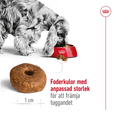 Hund äter ur röd matskål med Royal Canin-symbol. Foderkula visas i närbild, diameter 1 cm. Text: Foderkulor med anpassad storlek för att främja tuggandet.