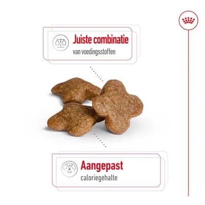 Drie brokvormige hondenkoekjes met tekst: 'Juiste combinatie van voedingsstoffen' en 'Aangepast caloriegehalte'.