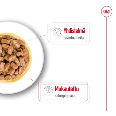 Yhdistelmä ravintoaineita, mukautettu kaloripitoisuus. Kuvassa annos kastikkeessa olevaa lemmikkiruokaa lautasella.