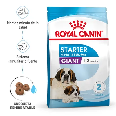 Royal Canin Starter Mother & Babydog Giant 1–2 months. Mantenimiento de la salud, sistema inmunitario fuerte, croqueta rehidratable. Imagen de perra y cachorro en el envase.