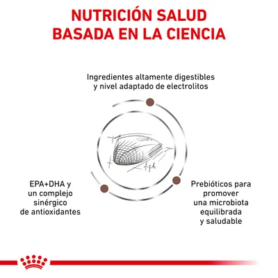 NUTRICIÓN SALUD BASADA EN LA CIENCIA. Ingredientes altamente digestibles, nivel adaptado de electrolitos, EPA+DHA y antioxidantes, prebióticos para microbiota equilibrada y saludable.