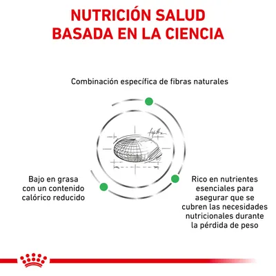 NUTRICIÓN SALUD BASADA EN LA CIENCIA. Combinación específica de fibras naturales. Bajo en grasa con un contenido calórico reducido. Rico en nutrientes esenciales para cubrir necesidades nutricionales.