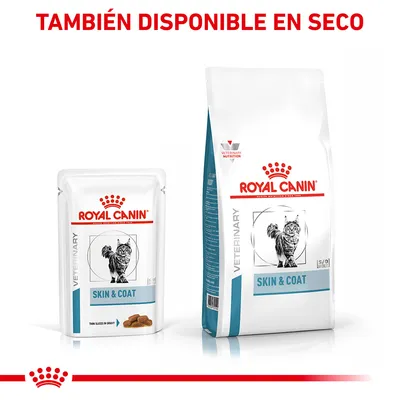 Royal Canin Veterinary Skin & Coat para gatos, envase húmedo y seco. Texto visible: 'TAMBIÉN DISPONIBLE EN SECO', 'SKIN & COAT', imagen de gato en ambos envases.