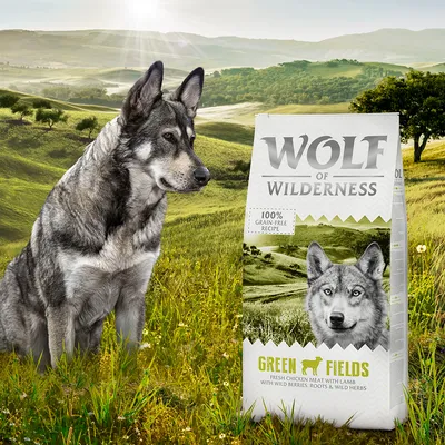 Wolf of Wilderness Green Fields ξηρά τροφή με φρέσκο κοτόπουλο και αρνί, 100% χωρίς δημητριακά, με άγρια μούρα, ρίζες και βότανα.