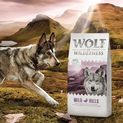 Opakowanie karmy Wolf of Wilderness Wild Hills, widoczny napis 100% grain-free recipe oraz wild hills fresh chicken meat with duck with wild berries, roots & wild herbs.