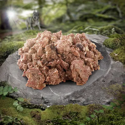 Porcja mokrej karmy dla psa w kawałkach, ułożona na kamieniu, w tle las i sylwetka wilka. Widoczne różne tekstury mięsa.