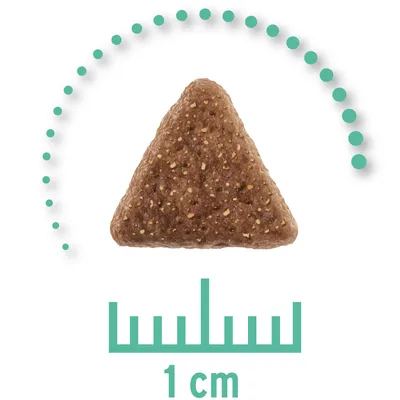 Kolmionmuotoinen koiranruokanappula, jonka koko on 1 cm, mitta-asteikko näkyvissä kuvan alareunassa.