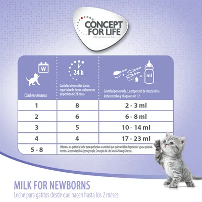 Tabla de alimentación para gatitos Concept for Life: semanas 1 a 8, comidas diarias y cantidad en ml. Proporción leche en polvo y agua 1:2. Texto: leche para gatitos hasta 2 meses.