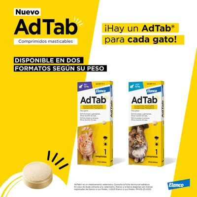 AdTab comprimidos masticables para gatos, disponible en dos formatos según peso: 0,5–2 kg y >2–8 kg. Elanco. Texto destacado: ¡Hay un AdTab para cada gato!