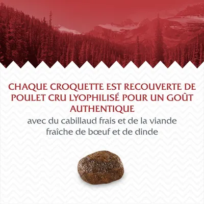 Texte : Chaque croquette est recouverte de poulet cru lyophilisé pour un goût authentique, avec du cabillaud frais et de la viande fraîche de bœuf et de dinde. Image d’une croquette.