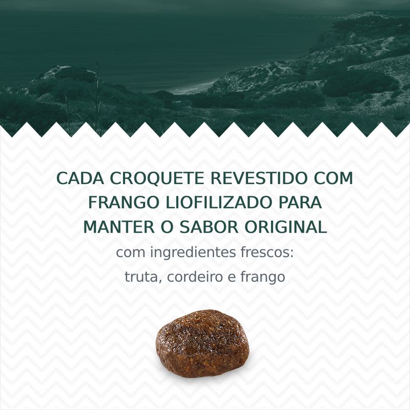 Wolf of Wilderness "RAW TASTE" 2 x 12 kg - Pack económico