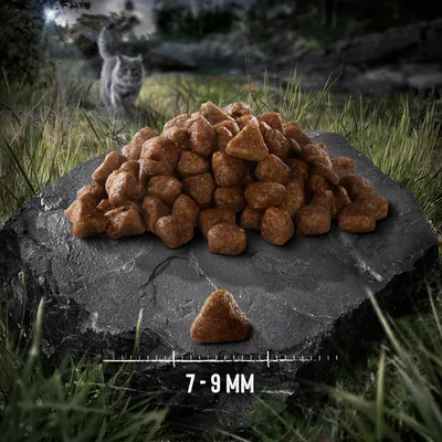 Dry food in triangular shape on stone, size 7-9 mm. Background shows nature with cat in grass.
