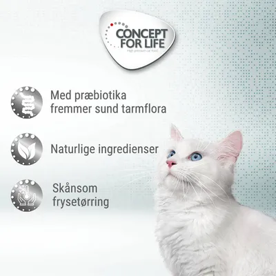 CONCEPT FOR LIFE. Med præbiotika fremmer sund tarmflora, naturlige ingredienser, skånsom frysetørring. Hvid kat med blå øjne til højre.