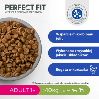 Perfect Fit Adult, kurczak (>10 kg)