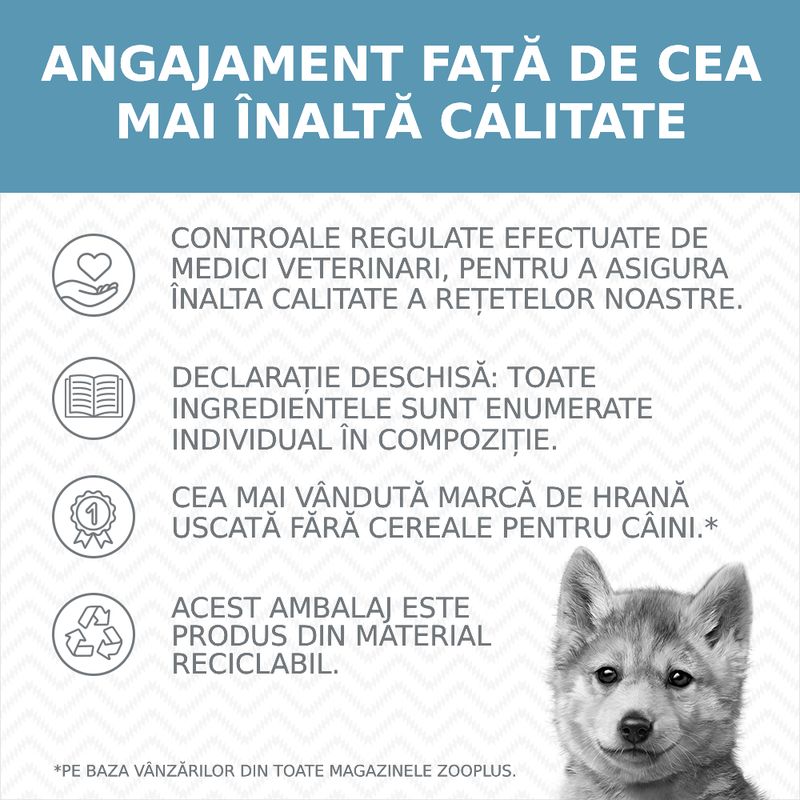 Wolf of Wilderness Junior "Blue River" Somon  - fără cereale