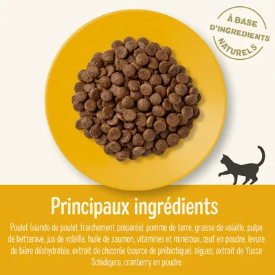 Principaux ingrédients : poulet, pomme de terre, graisse de volaille, pulpe de betterave, jus de volaille, huile de saumon, vitamines et minéraux, œuf en poudre, levure de bière déshydratée, chicorée, algues, Yucca Schidigera, cranberry. À base d’ingrédients naturels.
