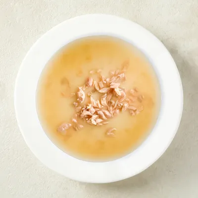 Nahaufnahme eines weißen Tellers mit einer Suppe aus heller Brühe und zerkleinerten Fleischstücken.