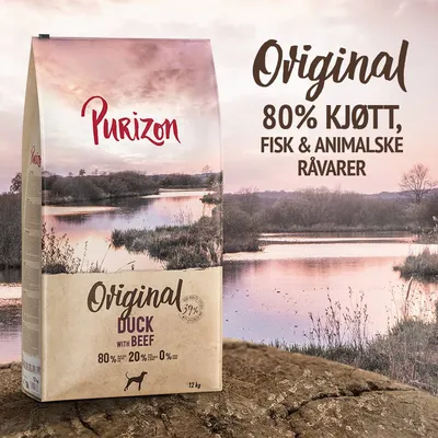 Purizon And med storfekjøtt Adult - kornfri