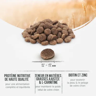 Croquettes pour chien, diamètre 12–13 mm. Texte visible : Protéine nutritive de haute qualité, Teneur en matières grasses ajustée & L-carnitine, Biotine et zinc.