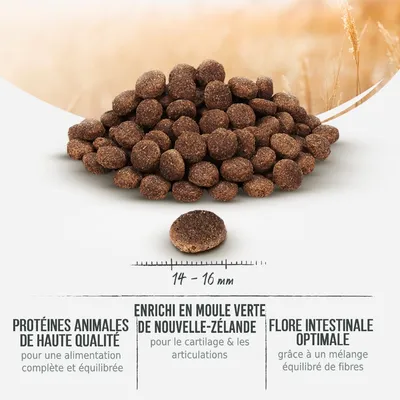 Croquettes rondes, diamètre 14–16 mm. Texte visible : protéines animales de haute qualité, enrichi en moule verte de Nouvelle-Zélande, flore intestinale optimale.