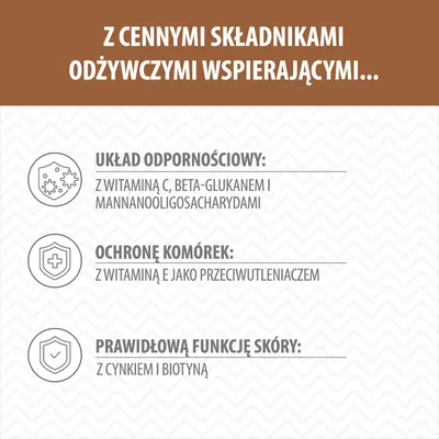 Wolf of Wilderness Adult „Oak Woods”, dzik