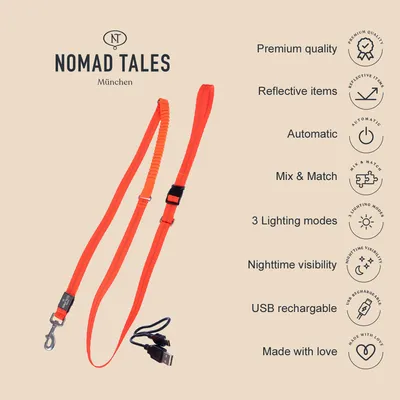 Nomad Tales München. Hundeleine mit reflektierenden Elementen, 3 Beleuchtungsmodi, USB wiederaufladbar, automatische Funktionen, Mix & Match, Nacht-Sichtbarkeit, Premium-Qualität.
