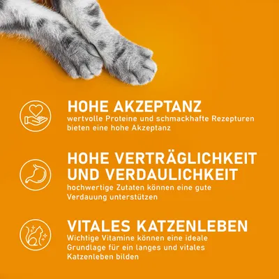 Hohe Akzeptanz: wertvolle Proteine und schmackhafte Rezepturen. Hohe Verträglichkeit und Verdaulichkeit: hochwertige Zutaten unterstützen Verdauung. Vitales Katzenleben: wichtige Vitamine fördern Gesundheit.